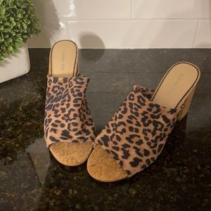 Cheetah Gianni Bini Slides